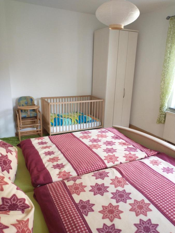 Ferienwohnung Im Erzgebirge In Gelenau ภายนอก รูปภาพ