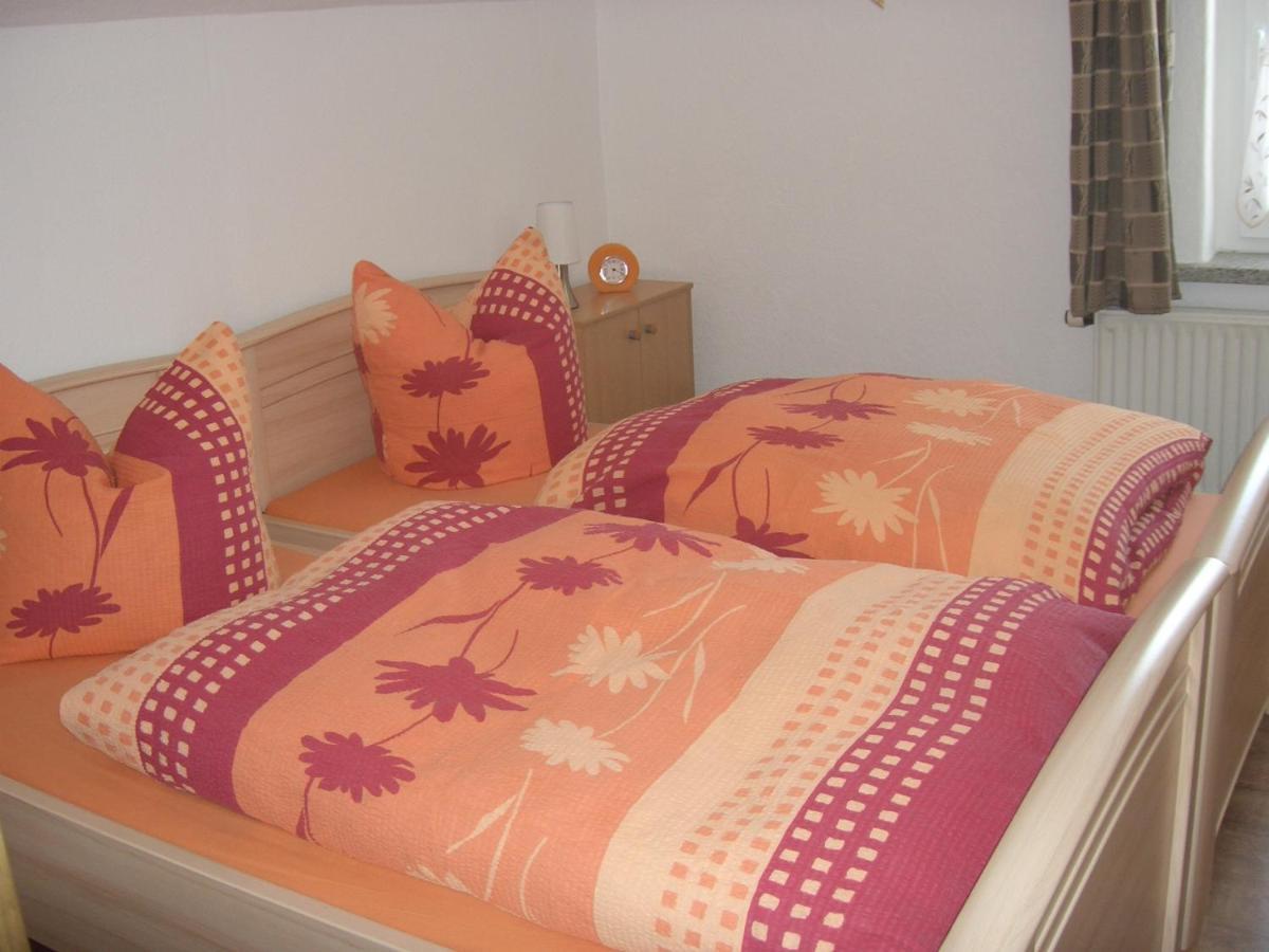 Ferienwohnung Im Erzgebirge In Gelenau ภายนอก รูปภาพ